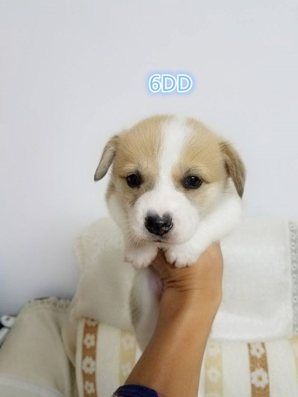 IMG_1769.JPG