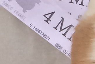 60日龄 合 (22).jpg