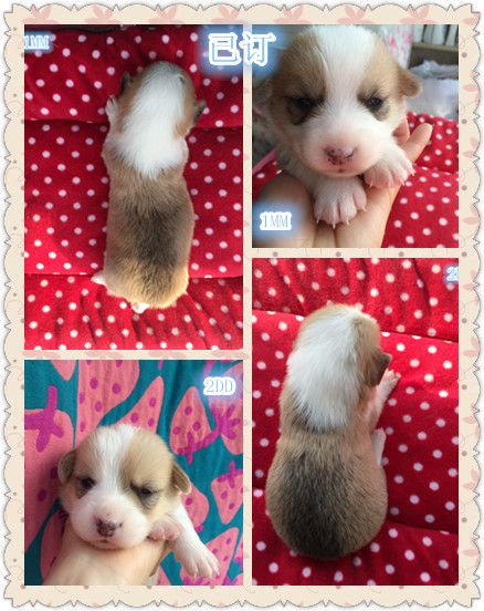 IMG_1731_副本.jpg