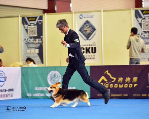 雷宝赛场1.jpg