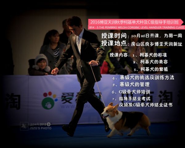 简章副本最终版.jpg