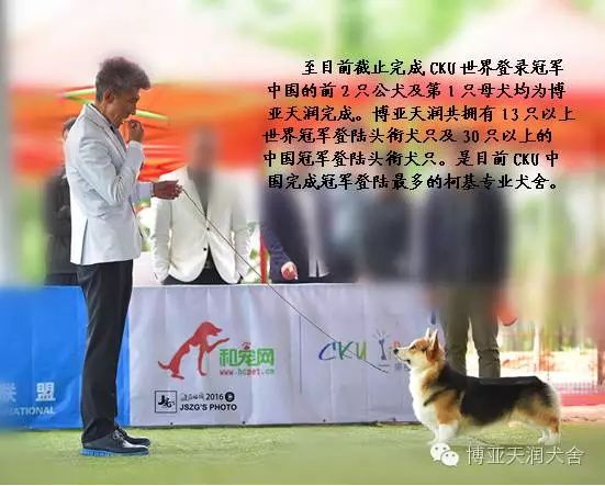世界登陆.JPG