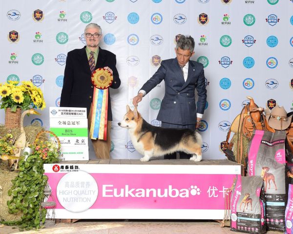 雷宝1.jpg
