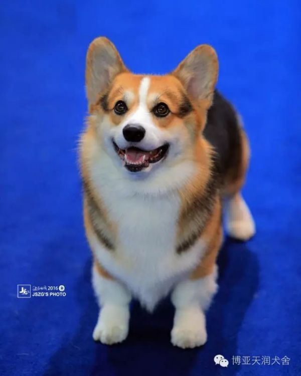 雷宝美照.JPG