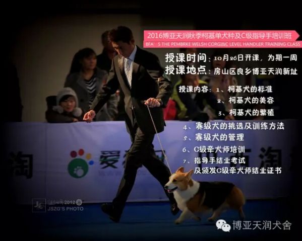 QQ截图20161002223153.jpg