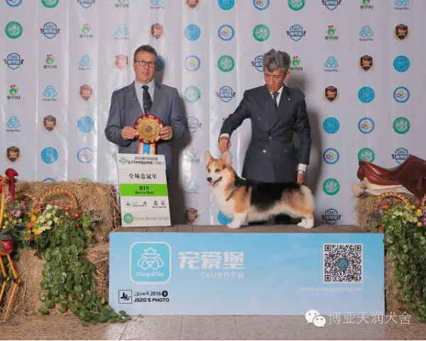 QQ截图20161002223226.jpg