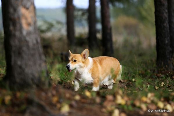 IMG_8209.JPG