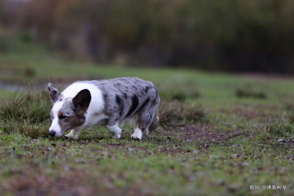 IMG_8307.JPG