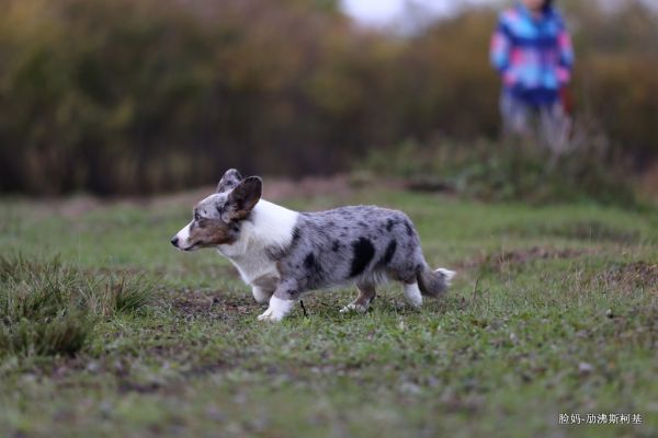 IMG_8308.JPG