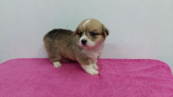 68108214885281674.jpg