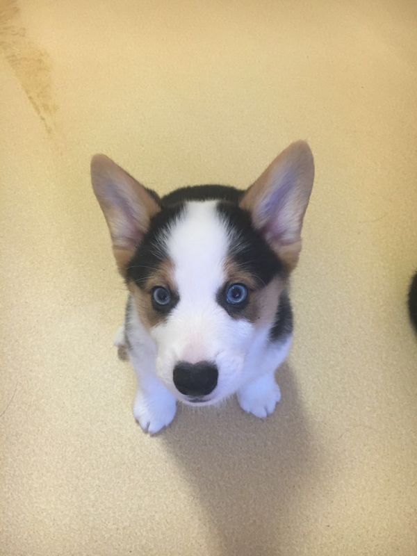 webwxgetmsgimg (1).jpg