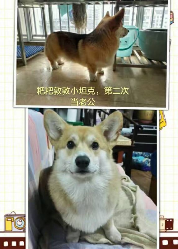 墩墩.jpg