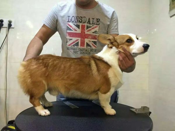 image.jpeg
