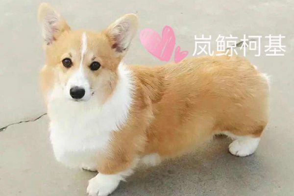 image.jpeg