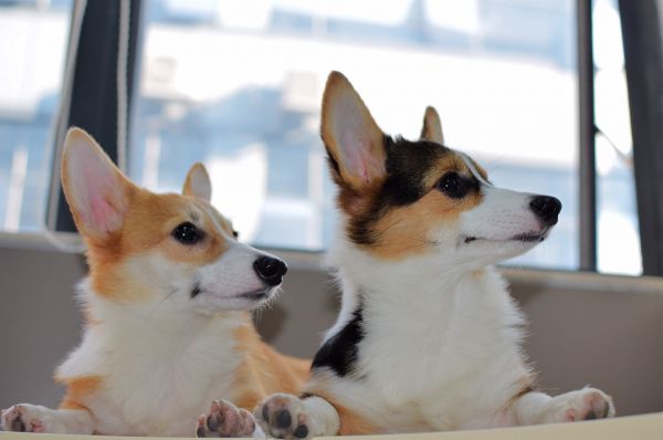 DSC_0699_副本.jpg