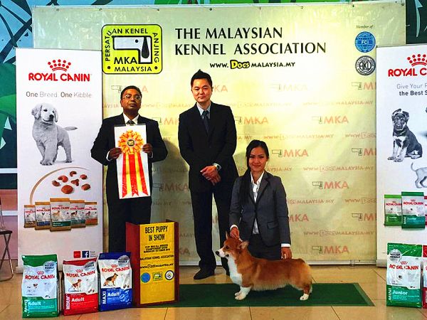 马来西亚 Logan .jpg