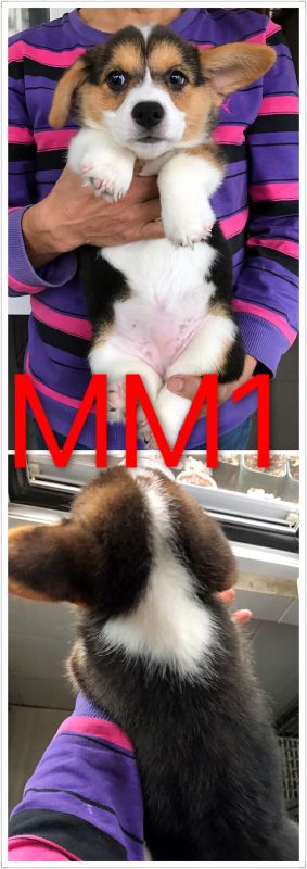 IMG_0160.JPG