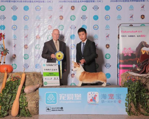 QQ图片20161017132251.jpg