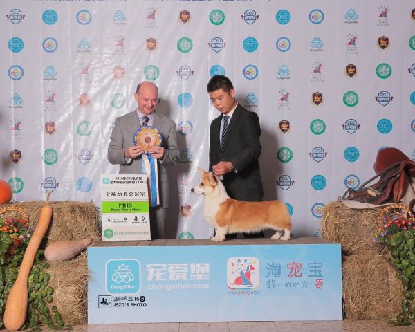 QQ图片20161017132238.jpg