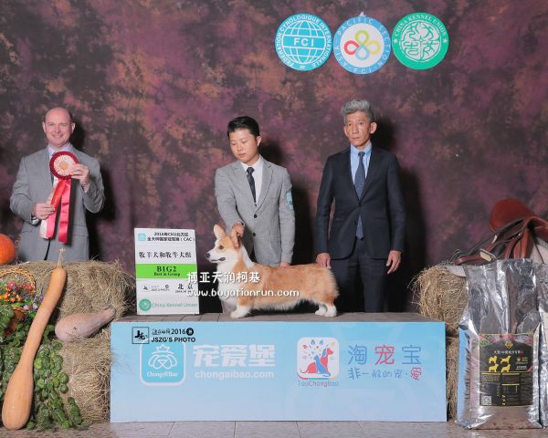 194077883175435225_副本.jpg
