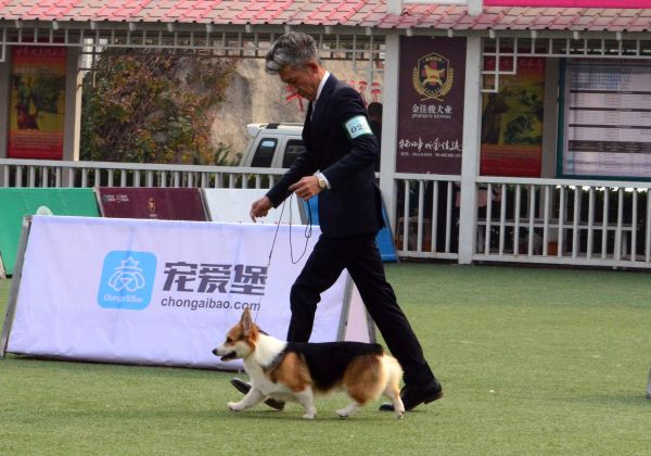 扣子牵.jpg