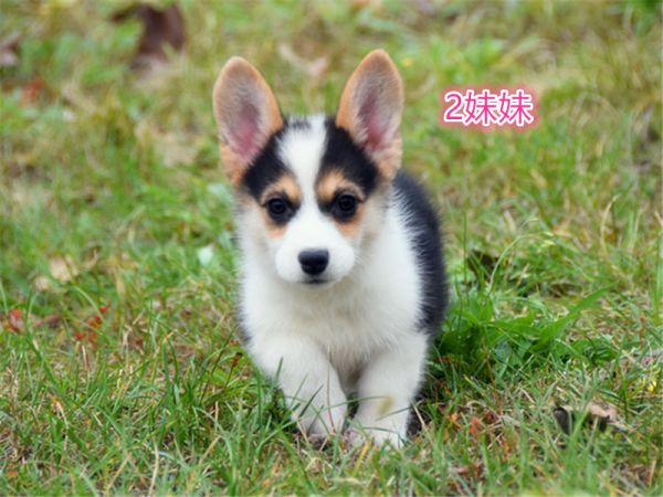 DSC_3982.JPG