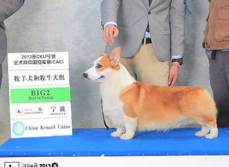 QQ截图20140430153525.png
