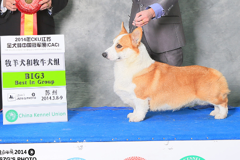 QQ截图20140430153537.png