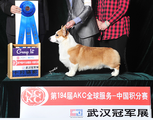 QQ截图20140430153311.png