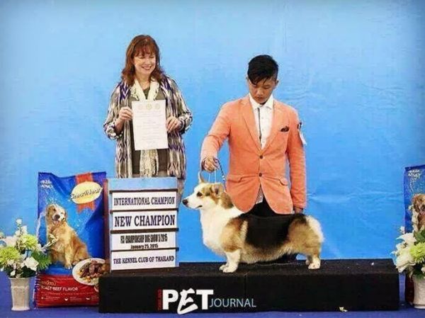 QQ图片20161023201230_副本.jpg
