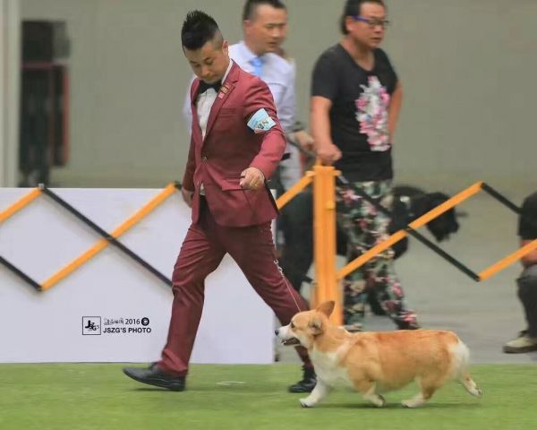 QQ图片20161023201249.jpg