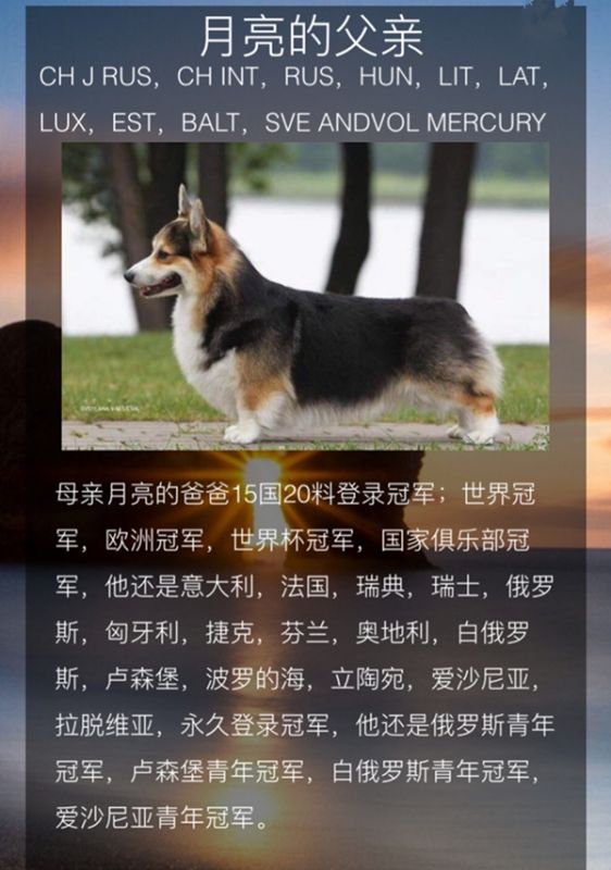 月亮爸.jpg