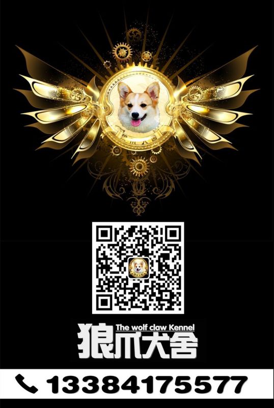 QQ图片20161024191113_副本.jpg
