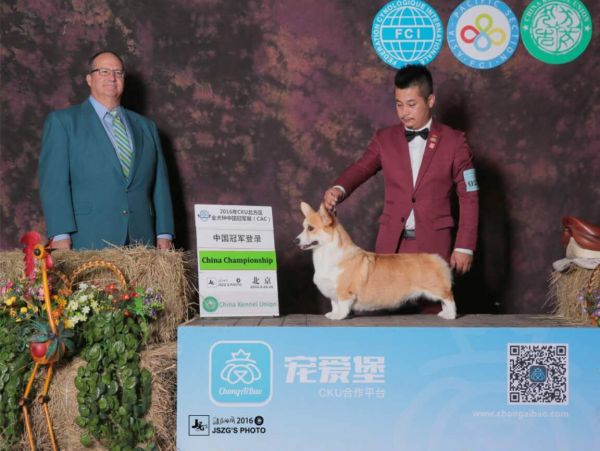 月亮登录照片.jpg