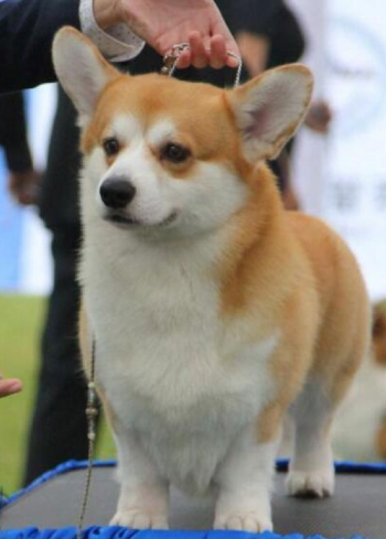 GIHQS5I@IT9DTGC26QPZCOY.png