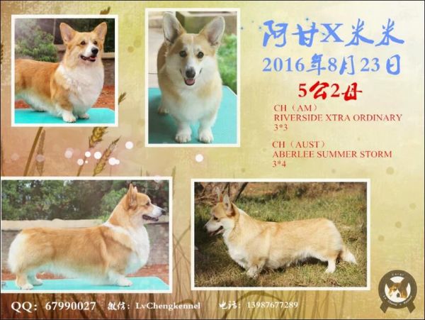 QQ截图20161026120357.jpg