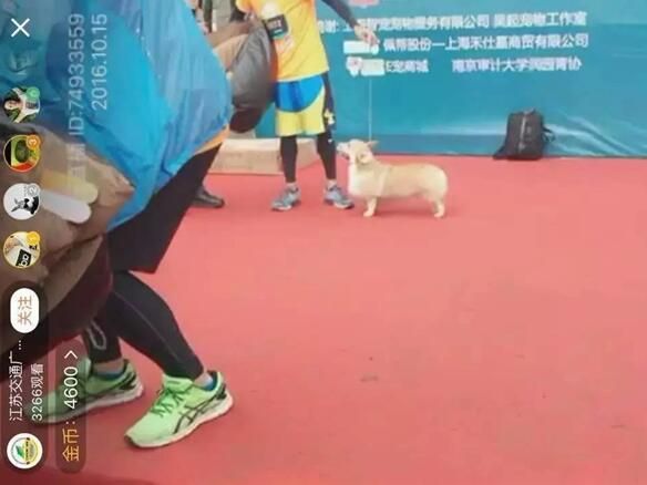 QQ截图20161025221741.jpg