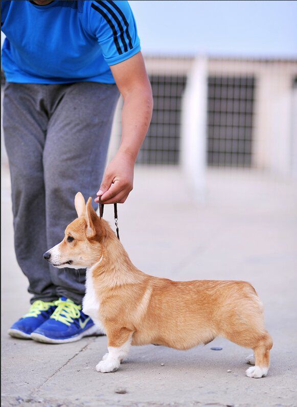 新建文件夹 (2)img_0715.jpg