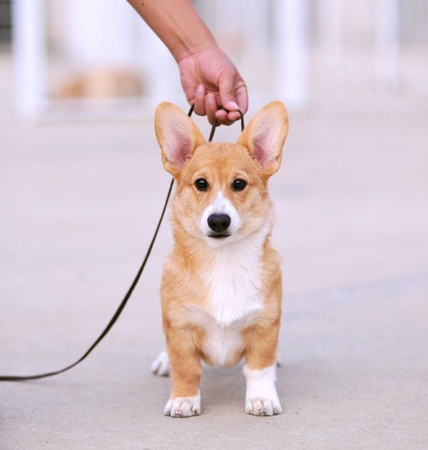 新建文件夹 (2)img_0712.jpg