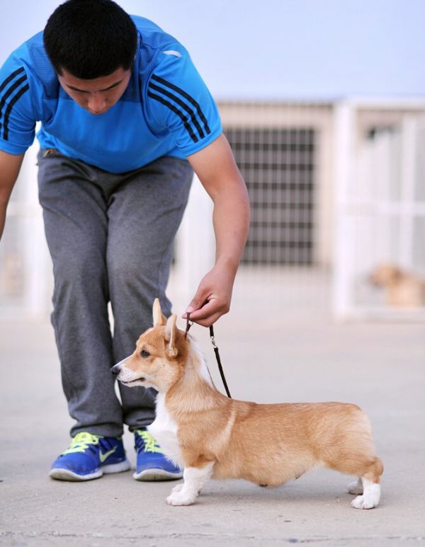 新建文件夹 (2)img_0713.jpg