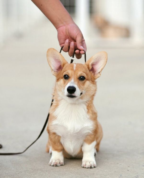 新建文件夹 (2)img_0708.jpg