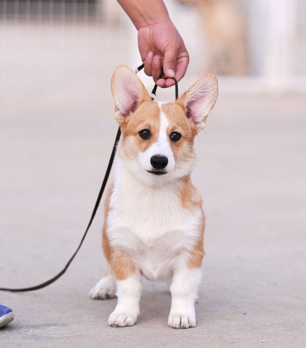 新建文件夹 (2)img_0711.jpg