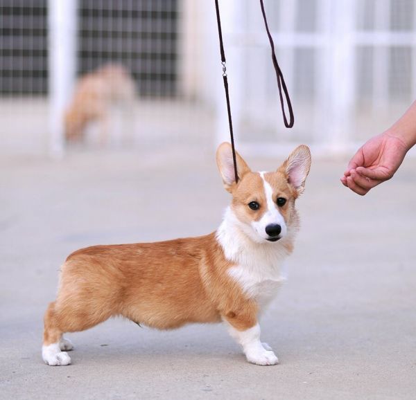 新建文件夹 (2)img_0707.jpg