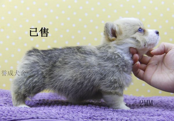 2MM (1)_看图王.jpg