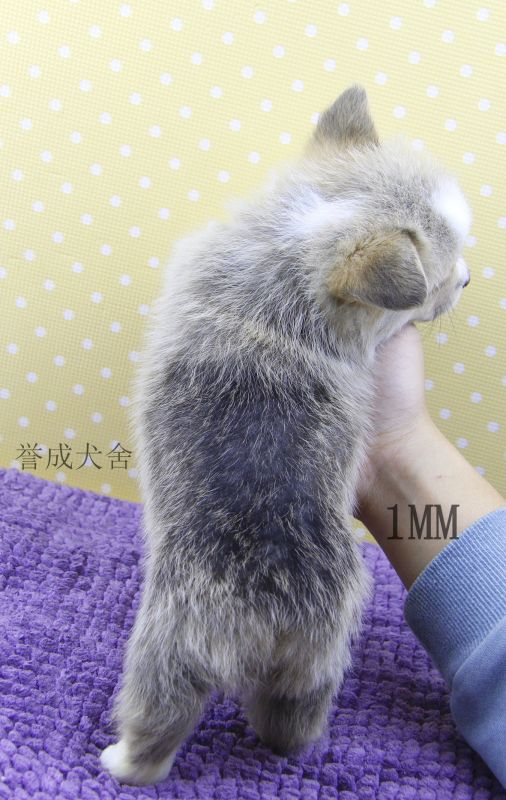 1MM (4)_看图王.jpg