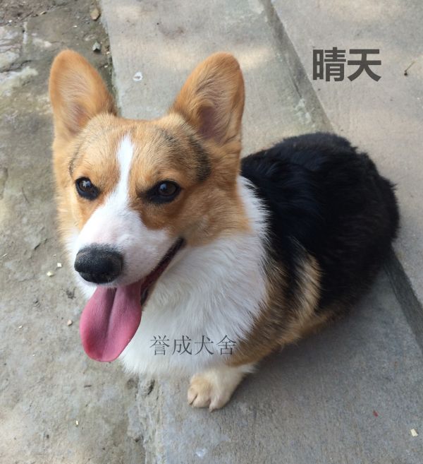 IMG_0983_看图王.jpg