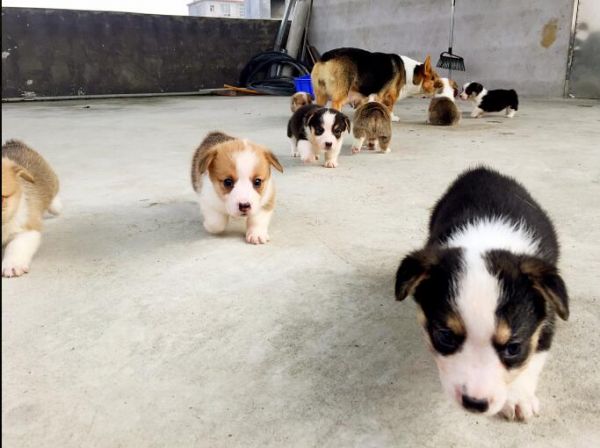 0_0A1)(LLFRHZ9ZW9@9JM1G.jpg