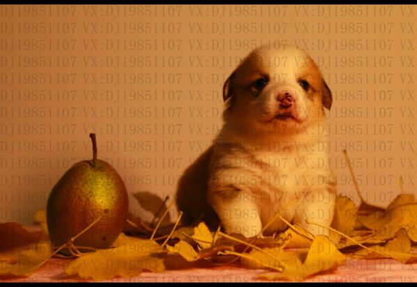 3MM（感谢常州华强先生）