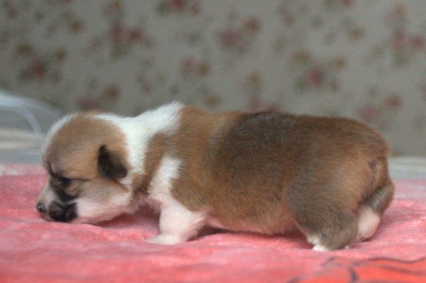 DSC_5340_副本_副本.jpg