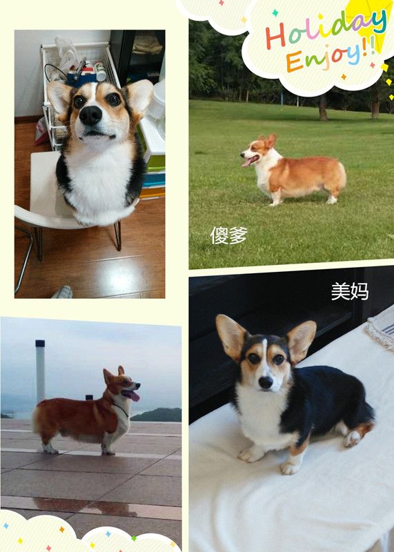 爹妈爹妈_副本.jpg